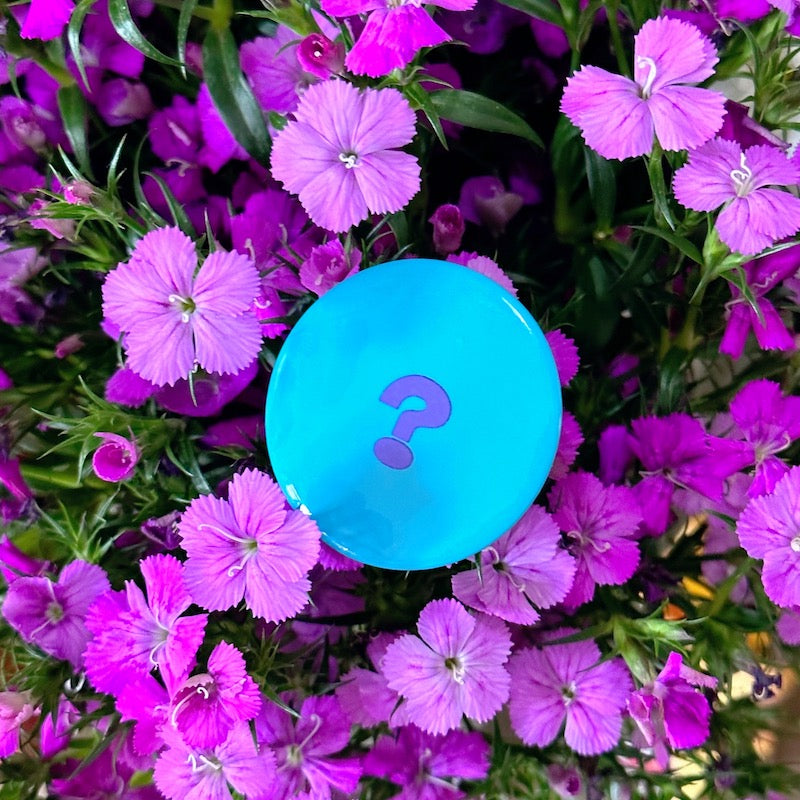 BBG 90s Badge - Vintage Print badge bunnybunnygun Question Mark - Small Size