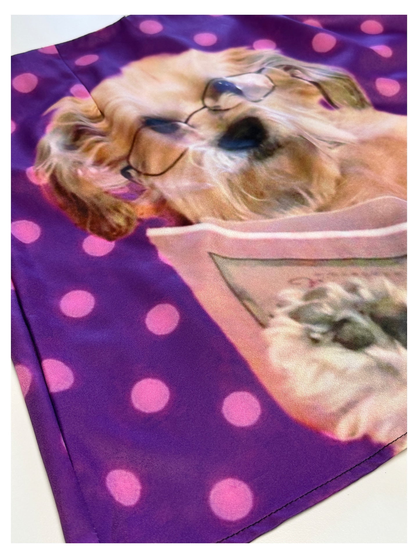 bunnybunnygun - Harajuku Y2K Polka Dot Dog Skirt skirt bunnybunnygun